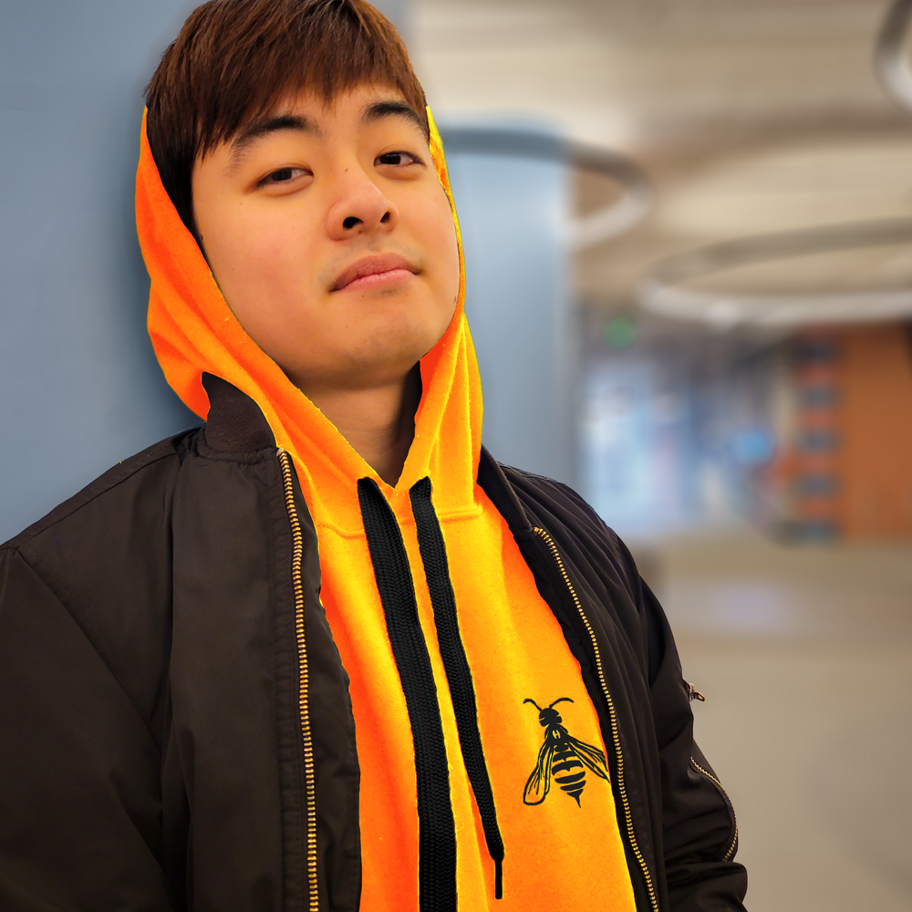 Emblem Pullover Hoodie