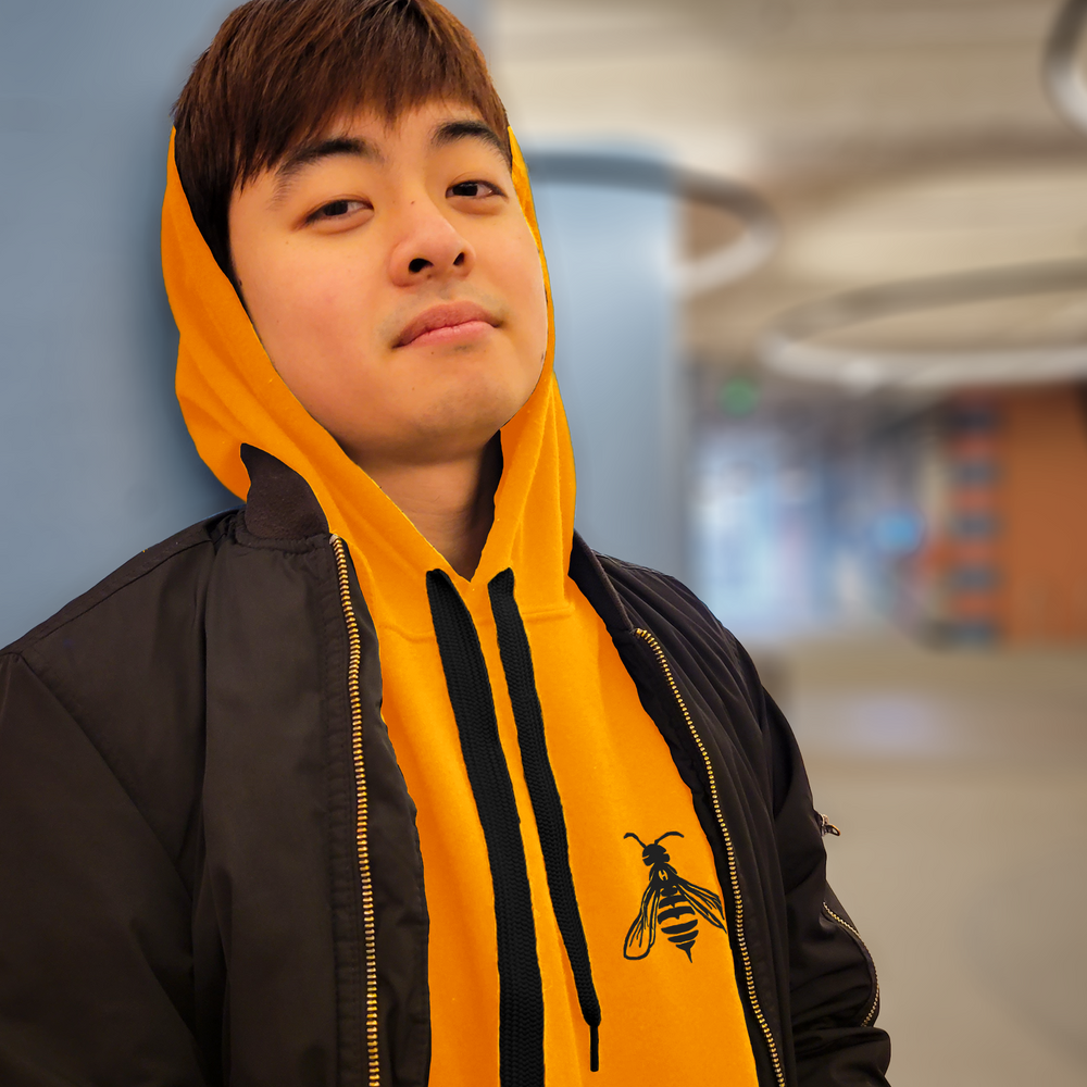 Emblem Pullover Hoodie